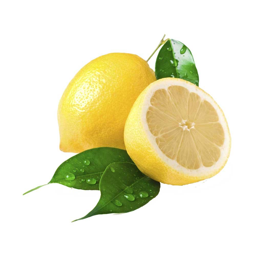 Fresh Orange - Image 3