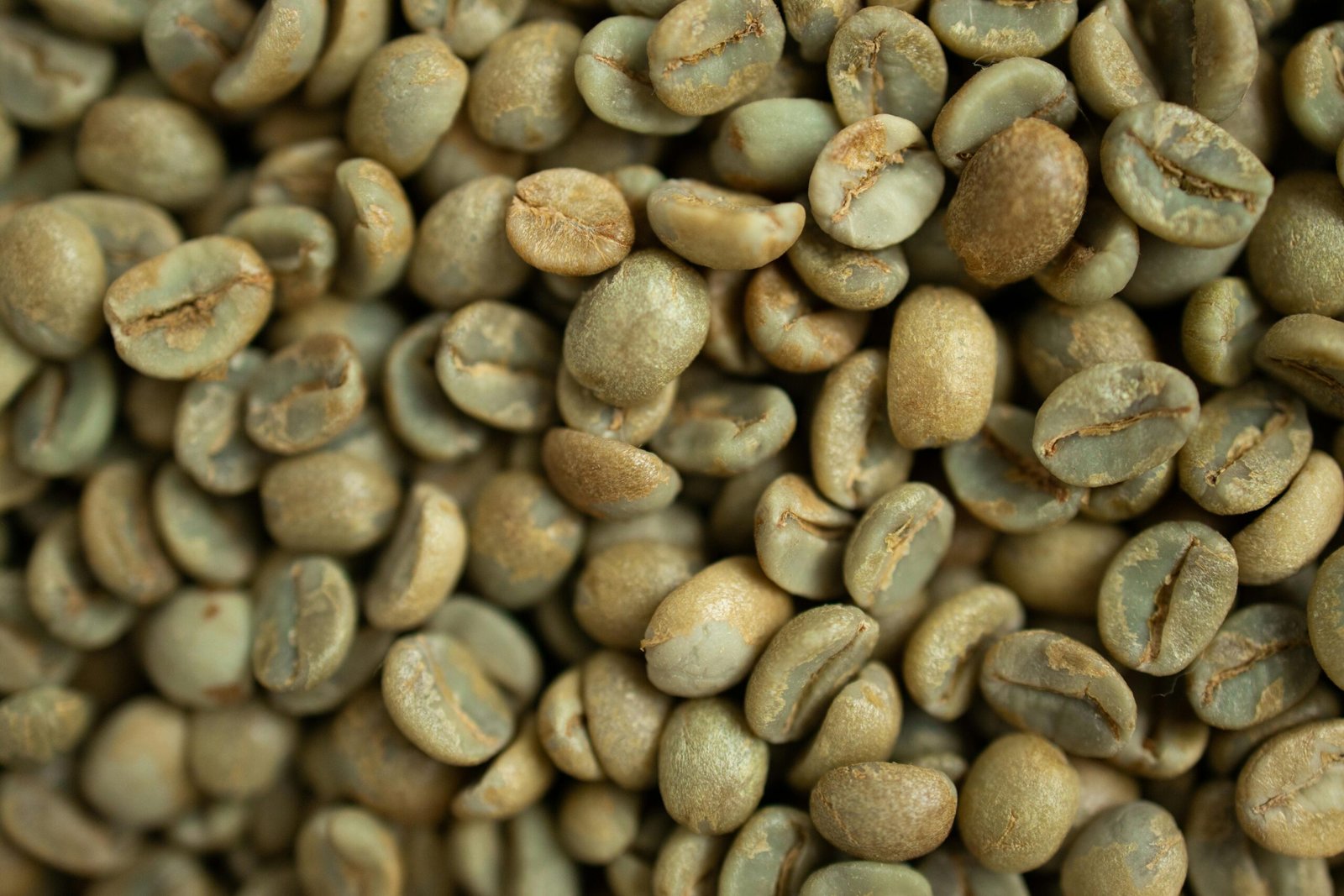 Detailed macro shot of freshly harvested green coffee beans, perfect for brewing.